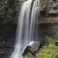 Buy canvas prints of Ashgill Force Near Alston in Summer, Cumbria, UK by David Forster