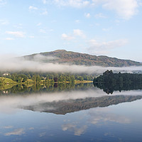 Buy canvas prints of Grasmere Morning Mist. Lake District, Cumbria, UK by David Forster