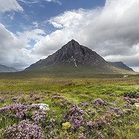 Buy canvas prints of Clearing Summer Storm Buachaille Etive Mor Scotlan by David Forster