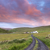 Buy canvas prints of North Pennine Dawn, Teesdale, County Durham by David Forster