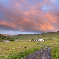 Buy canvas prints of North Pennine Dawn, Teesdale, County Durham by David Forster