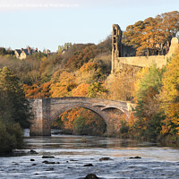 Buy canvas prints of The River Tees, Barnard Castle in Autumn, Teesdale, County Durham, UK by David Forster