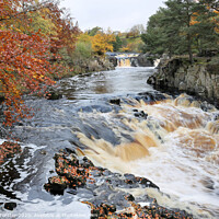 Buy canvas prints of Low Force from the Pennine Way, Bowlees, Teesdale, County Durham, UK by David Forster