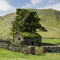 Buy canvas prints of Traditional Old Stone Barn, Lake District, Cumbria, UK by David Forster