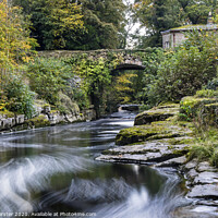 Buy canvas prints of The Dairy Bridge and the River Greta in Autumn, Barnard Castle, County Durham.   by David Forster