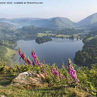 Buy canvas prints of Foxglove Flowers and Grasmere Viwed from Loughrigg Fell on a Mis by David Forster