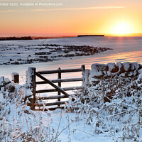 Buy canvas prints of Gateway to a Winter Sunrise in the North Pennines, Teesdale. by David Forster
