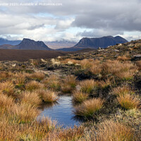 Buy canvas prints of Suilven, Stac Pollaidh and Cull Mor, Highland, Scotland by David Forster