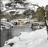 Buy canvas prints of Low Force in Winter, Bowlees, Teesdale County Durham, UK by David Forster