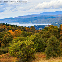 Buy canvas prints of Autumn view towards Loch Rannoch, Highlands, Scotland by Richard Long