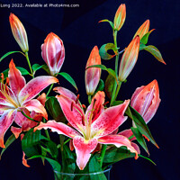 Buy canvas prints of Vivid Pink Lilies by Richard Long