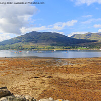 Buy canvas prints of Loch Goil harbour by Richard Long