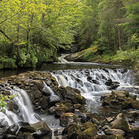 Buy canvas prints of  A woodland waterfall near Balquhidder by Richard Long