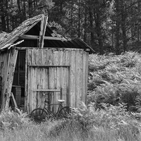 Buy canvas prints of  Old Wooden Shed and bicycle by Richard Long