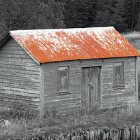 Buy canvas prints of Old Shed with Red Rusty Roof by Richard Long