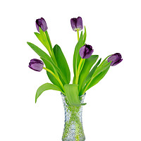 Buy canvas prints of Purple Tulips in a glass vase by Richard Long