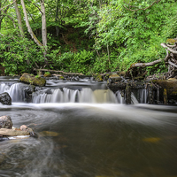 Buy canvas prints of  A small weir on the River Derwent by Phil Reay
