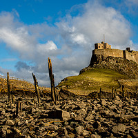 Buy canvas prints of Lindisfarne Castle, Holy Island by Phil Reay
