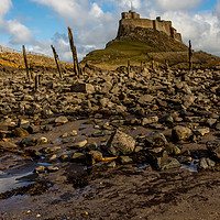 Buy canvas prints of Lindisfarne Castle at low tide by Phil Reay