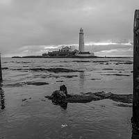 Buy canvas prints of Tide out at St Mary`s  by Phil Reay