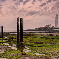 Buy canvas prints of The tide`s out! by Phil Reay