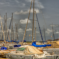 Buy canvas prints of In the marina by Phil Reay