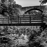Buy canvas prints of Causey Arch  by Phil Reay