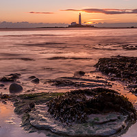 Buy canvas prints of St Mary`s lighthouse at sunrise by Phil Reay