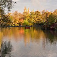 Buy canvas prints of Autumn in the park by Phil Reay