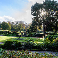 Buy canvas prints of Saltwell Park by Phil Reay