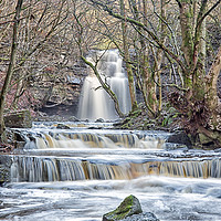 Buy canvas prints of Summerhill Force, Teesdale by Phil Reay
