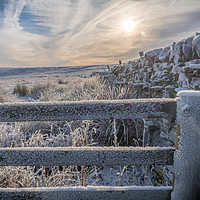 Buy canvas prints of A cold & frosty morning by Phil Reay