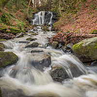 Buy canvas prints of Wharnley Burn, Co Durham by Phil Reay