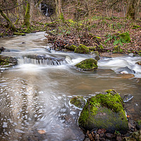 Buy canvas prints of Wharnley Burn, Co Durham by Phil Reay
