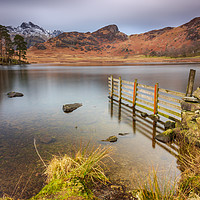 Buy canvas prints of Blea Tarn by Phil Reay