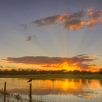 Buy canvas prints of Evening sunset over wildlife reserve by John Allsop