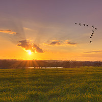 Buy canvas prints of A sunset over fields by John Allsop