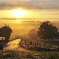 Buy canvas prints of  A misty morning at Ashton Court by Jeremy Fennell