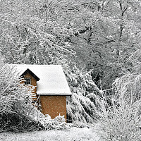 Buy canvas prints of A cottage in the snow by Jeremy Fennell