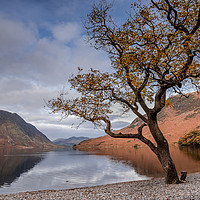 Buy canvas prints of Shores of Crummock Water, The Lake District by David Schofield