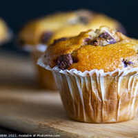 Buy canvas prints of Freshly baked Chocolate Chip Muffins by Stuart Giblin