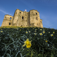 Buy canvas prints of  Walkworth castle  by christopher gould