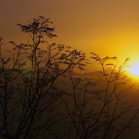 Buy canvas prints of  Golden Morning by Manuel Canseco