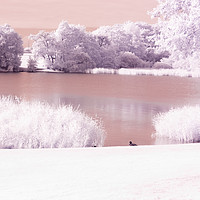 Buy canvas prints of Infrared water view by Amanda Peglitsis
