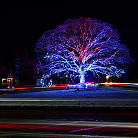 Buy canvas prints of Christmas Tree Lights Astbury Village by Robert Davies