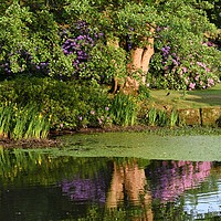 Buy canvas prints of Gawsworth Pond by Robert Davies