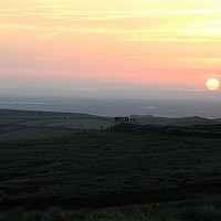 Buy canvas prints of Sunset Cat & Fiddle by Robert Davies