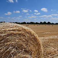 Buy canvas prints of Bale Of Straw Hay Bale Holmes Chapel by Robert Davies