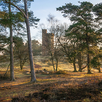 Buy canvas prints of Leith Hill Tower at Dawn by Colin Evans