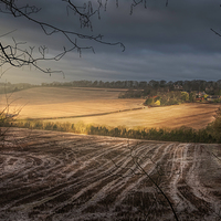 Buy canvas prints of  Fields of Gold by Colin Evans